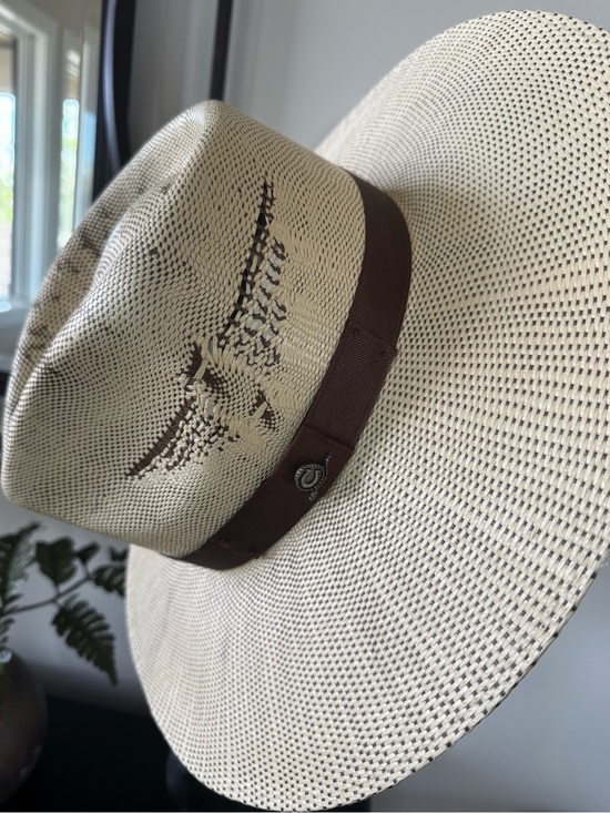 Charlie Horse Straw Hat with Dark Brown Trim main image 6